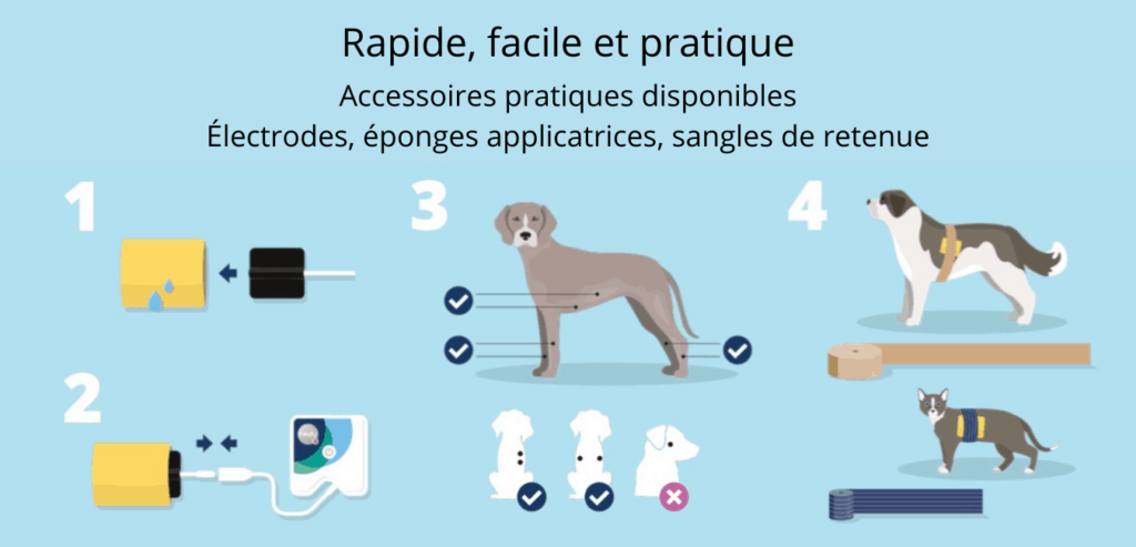 mode emploi Healy animal